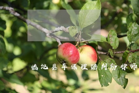 临洮县车保理赔纠纷律师 临洮县车保理赔纠纷律师