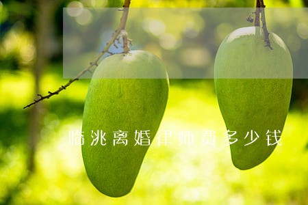 临洮离婚律师费多少钱 临洮离婚律师费多少钱