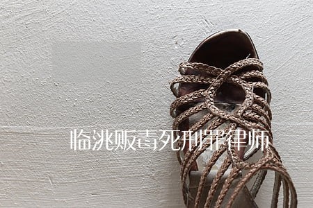 临洮贩毒死刑罪律师 临洮贩毒死刑罪律师