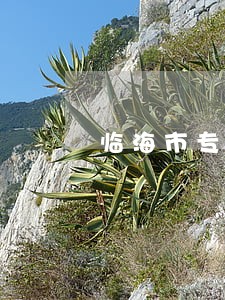 临海市专业欠款纠纷律师 临海市专业欠款纠纷律师