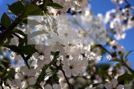 临海市债务纠纷律师