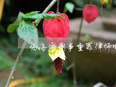临海市刑事重罪律师哪里找 临海市刑事重罪律师哪里找