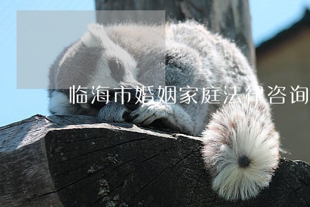 临海市婚姻家庭法律咨询 临海市婚姻家庭法律咨询