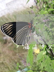 临海市欠款协议纠纷律师 临海市欠款协议纠纷律师