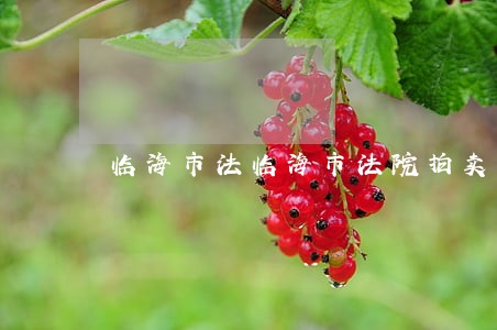 临海市法临海市法院拍卖网