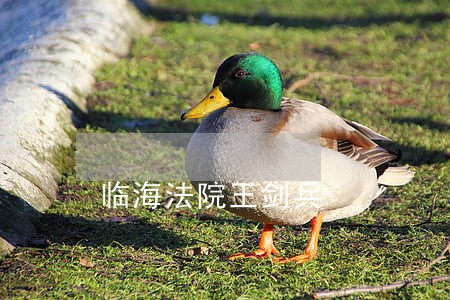 临海法院王剑兵 临海法院王剑兵
