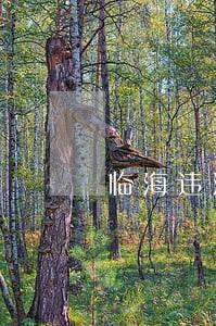 临海违法建筑处置 临海违法建筑处置