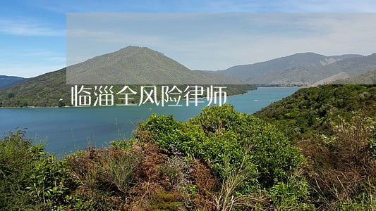 临淄全风险律师 临淄全风险律师