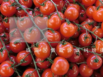 临淄区借款协议纠纷律师 临淄区借款协议纠纷律师