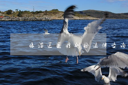 临淄区医疗纠纷法律咨询 临淄区医疗纠纷法律咨询