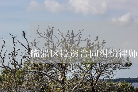 临淄区投资合同纠纷律师