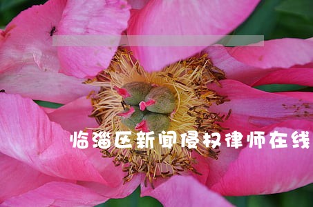 临淄区新闻侵权律师在线免费咨询 临淄区新闻侵权律师在线免费咨询