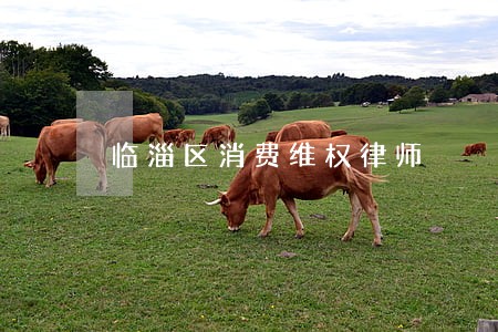 临淄区消费维权律师 临淄区消费维权律师
