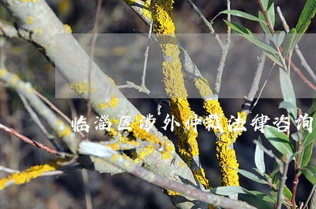 临淄区涉外仲裁法律咨询 临淄区涉外仲裁法律咨询