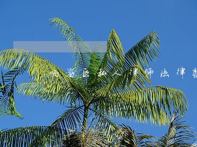 临淄区私人律师法律咨询热线 临淄区私人律师法律咨询热线