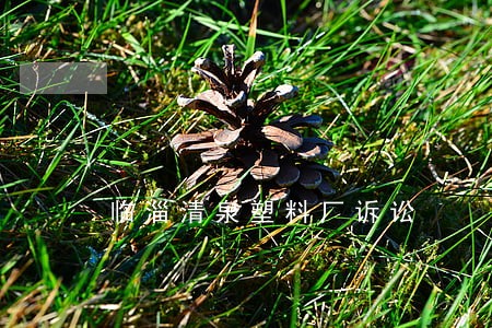 临淄清泉塑料厂诉讼 临淄清泉塑料厂诉讼