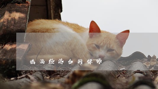 临淄经济合同律师 临淄经济合同律师