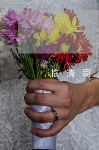 临清司法局在哪里 临清司法局在哪里