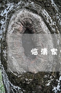 临清家悦房产中介因违法违规行为 临清家悦房产中介因违法违规行为