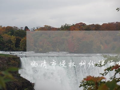 临清市侵权纠纷律师哪家专业