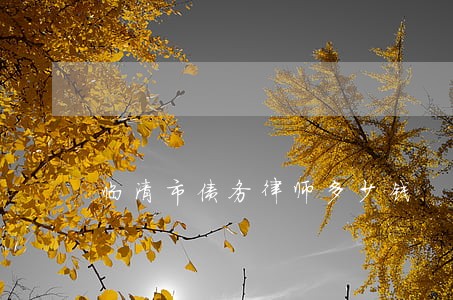 临清市债务律师多少钱 临清市债务律师多少钱