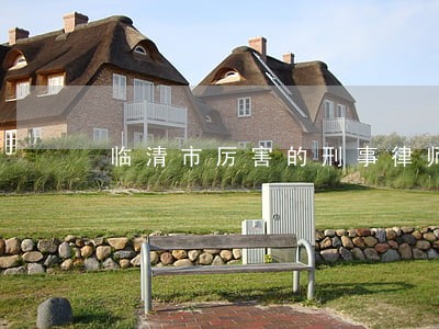 临清市厉害的刑事律师收费 临清市厉害的刑事律师收费
