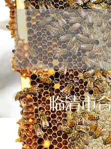临清市合资合作免费法律咨询热线 临清市合资合作免费法律咨询热线