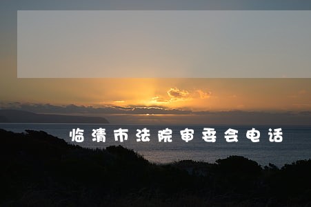 临清市法院审委会电话