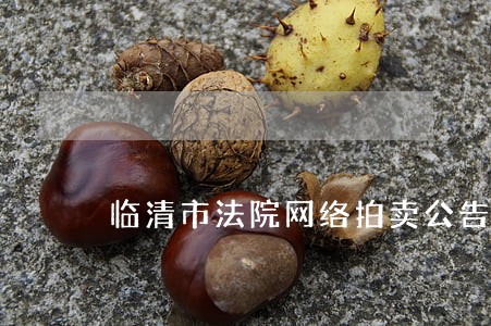 临清市法院网络拍卖公告 临清市法院网络拍卖公告