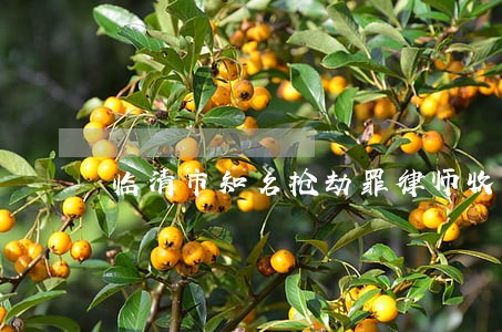 临清市知名抢劫罪律师收费标准 临清市知名抢劫罪律师收费标准