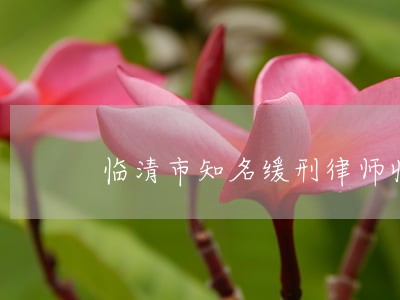 临清市知名缓刑律师收费 临清市知名缓刑律师收费
