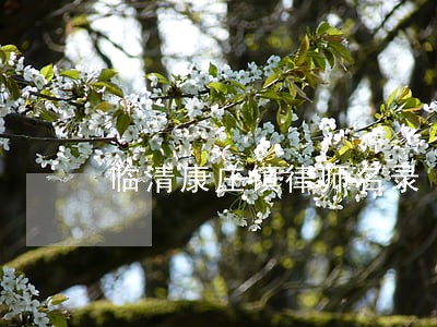 临清康庄镇律师名录 临清康庄镇律师名录