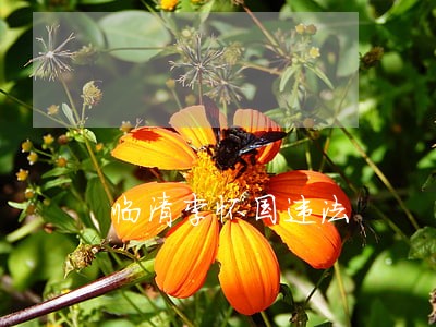 临清李怀国违法 临清李怀国违法