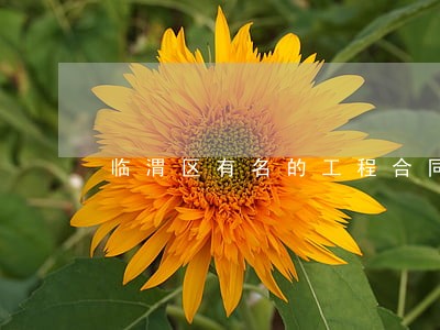 临渭区有名的工程合同纠纷律师 临渭区有名的工程合同纠纷律师