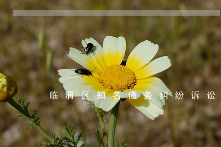 临渭区知名债务纠纷诉讼律师 临渭区知名债务纠纷诉讼律师