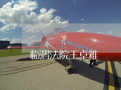 临渭法院王卓雅
