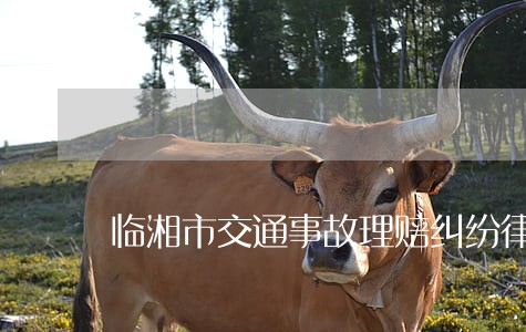 临湘市交通事故理赔纠纷律师 临湘市交通事故理赔纠纷律师