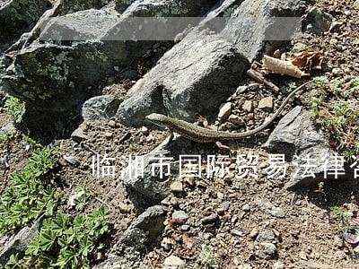 临湘市国际贸易法律咨询热线 临湘市国际贸易法律咨询热线