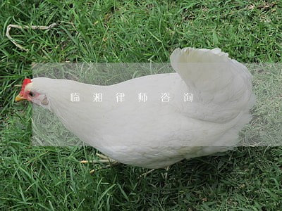 临湘律师咨询 临湘律师咨询