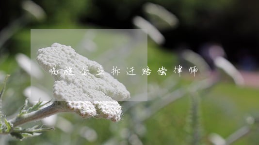 临漳企业拆迁赔偿律师 临漳企业拆迁赔偿律师