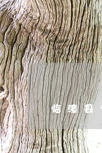 临漳县专业解决婚姻纠纷律师