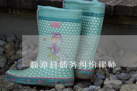 临漳县债务纠纷律师 临漳县债务纠纷律师