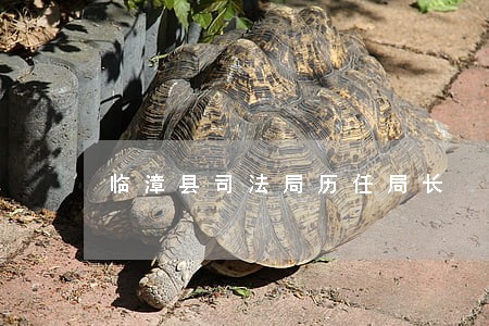 临漳县司法局历任局长