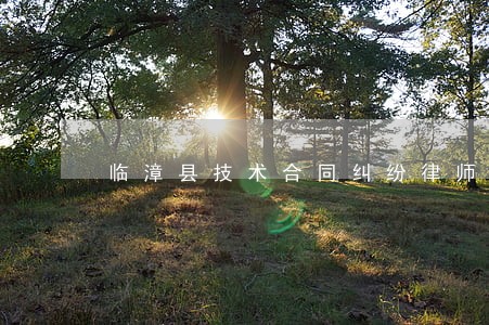 临漳县技术合同纠纷律师 临漳县技术合同纠纷律师