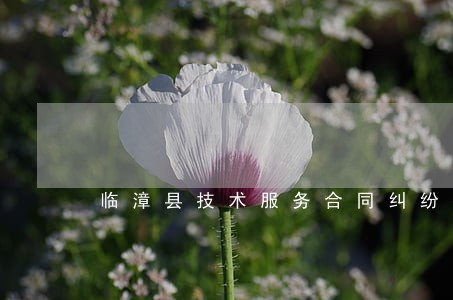 临漳县技术服务合同纠纷律师 临漳县技术服务合同纠纷律师