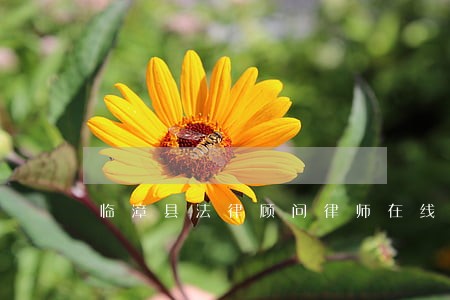 临漳县法律顾问律师在线免费咨询 临漳县法律顾问律师在线免费咨询