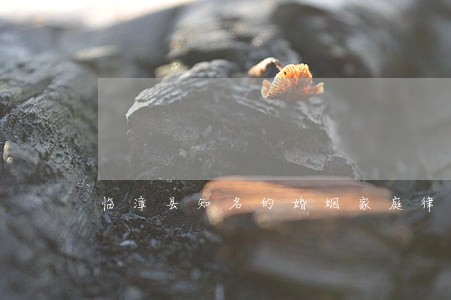 临漳县知名的婚姻家庭律师事务所 临漳县知名的婚姻家庭律师事务所