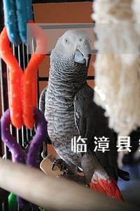 临漳县知名的遗嘱制作律师事务所 临漳县知名的遗嘱制作律师事务所
