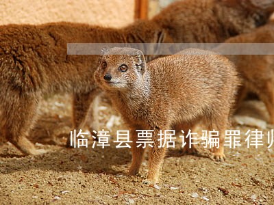 临漳县票据诈骗罪律师费用 临漳县票据诈骗罪律师费用