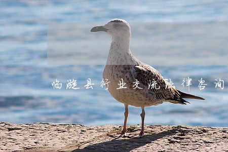 临漳县行业交流法律咨询 临漳县行业交流法律咨询
